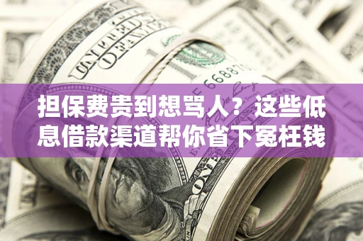济南担保费贵到想骂人？这些低息借款渠道帮你省下冤枉钱