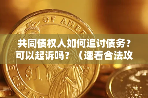 济南共同债权人如何追讨债务？可以起诉吗？（速看合法攻略）